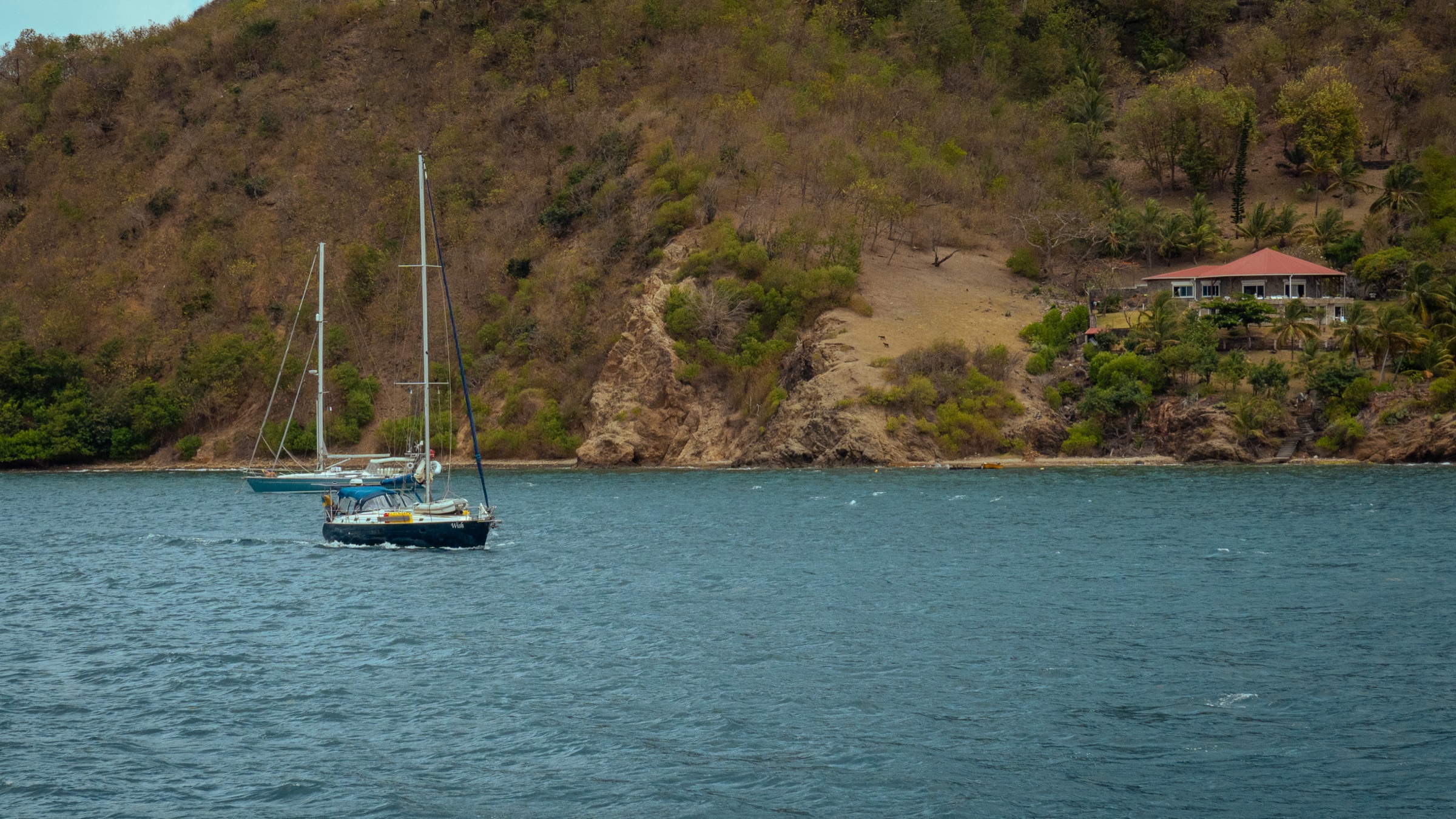 Voilier devant le littoral de Terre-de-Bas