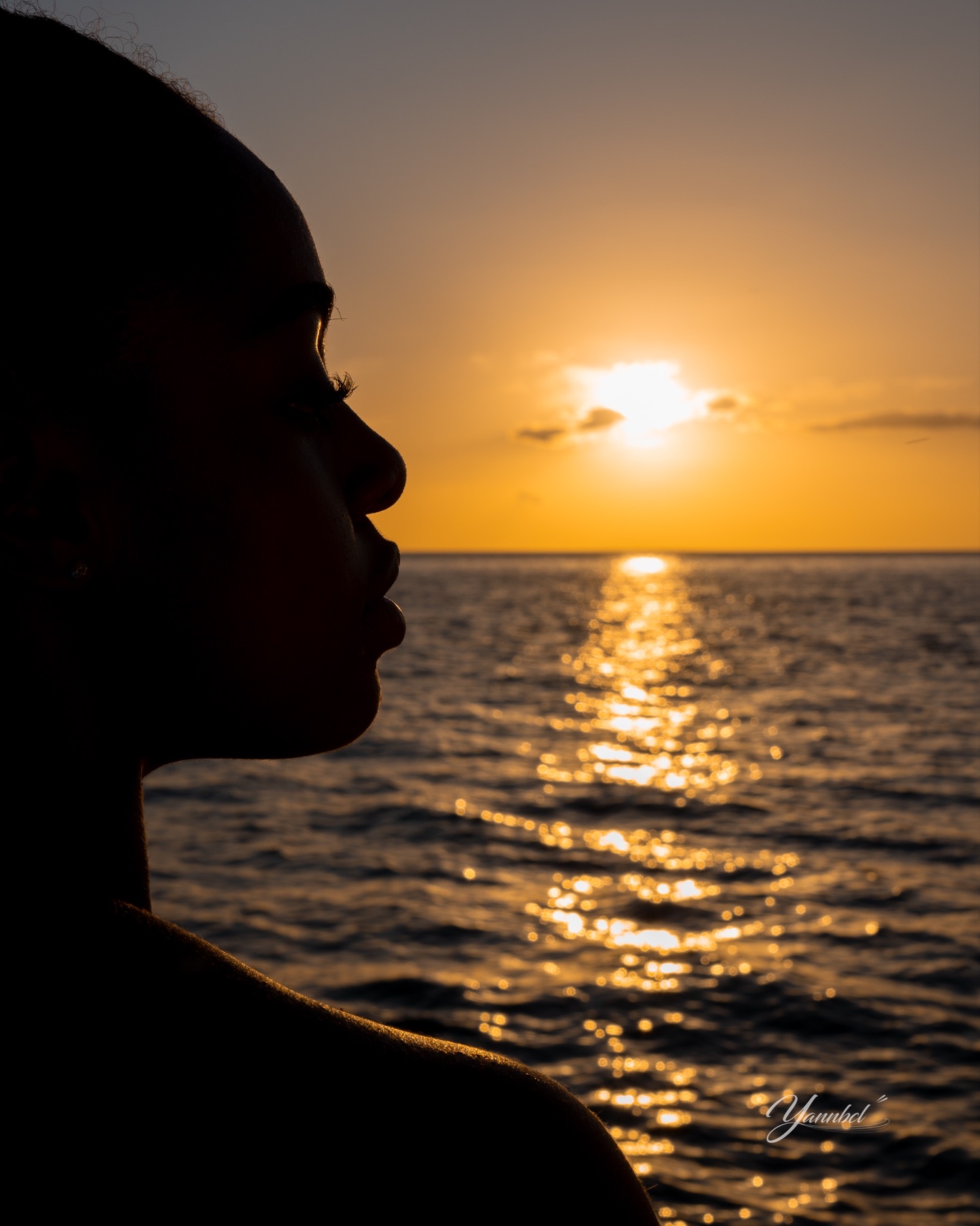 Silhouette de Djawiththeneedles face à la mer au coucher du soleil